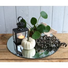 Runde Spiegelplatte Ø40cm mit Schrägkanten - 1 Stk