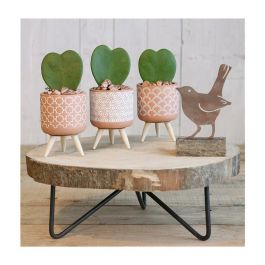 Blumentöpfe Terra-Zement mit Holzbeinen | H: 11cm - 6 Stk